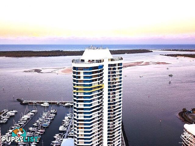 115/17 Bayview Street Runaway Bay QLD 4216