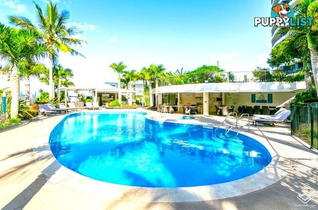 115/17 Bayview Street Runaway Bay QLD 4216