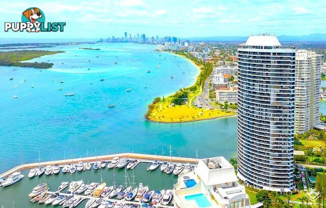115/17 Bayview Street Runaway Bay QLD 4216