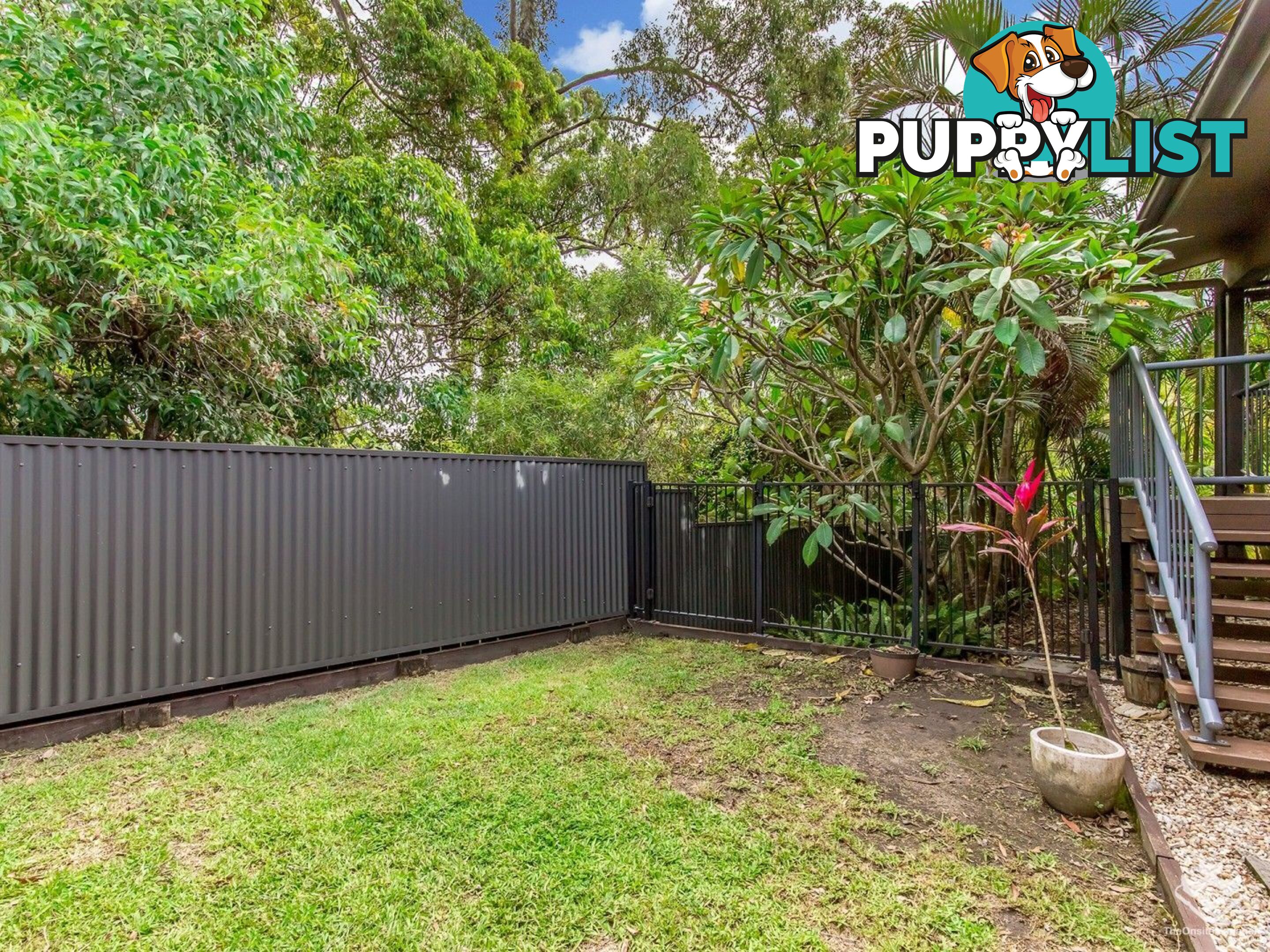 3 Calypso Court Oxenford QLD 4210