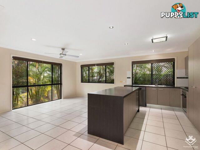 3 Calypso Court Oxenford QLD 4210