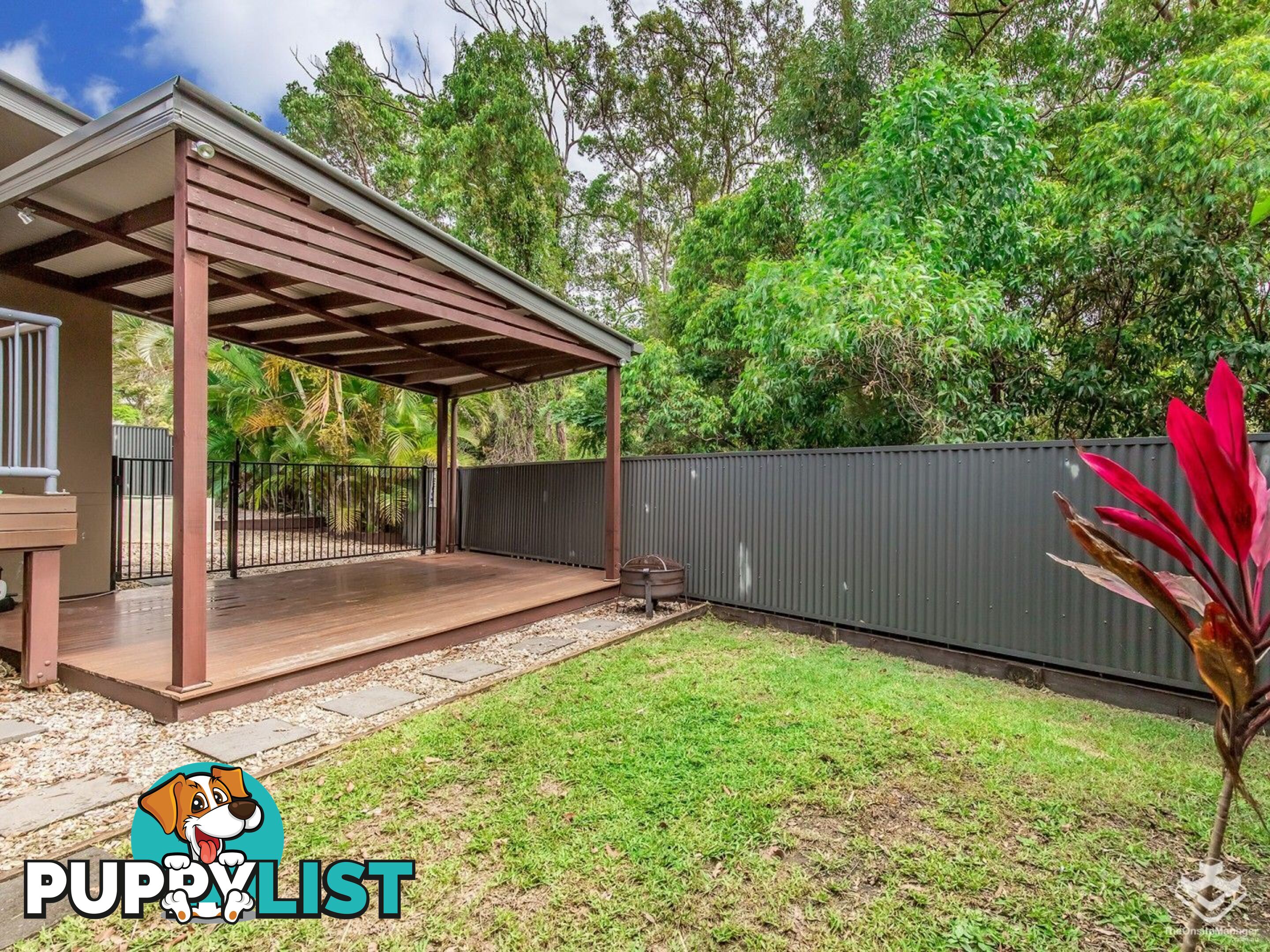 3 Calypso Court Oxenford QLD 4210