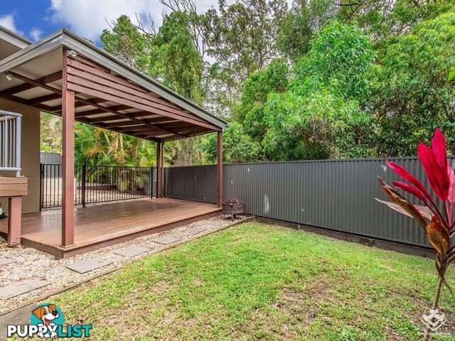 3 Calypso Court Oxenford QLD 4210