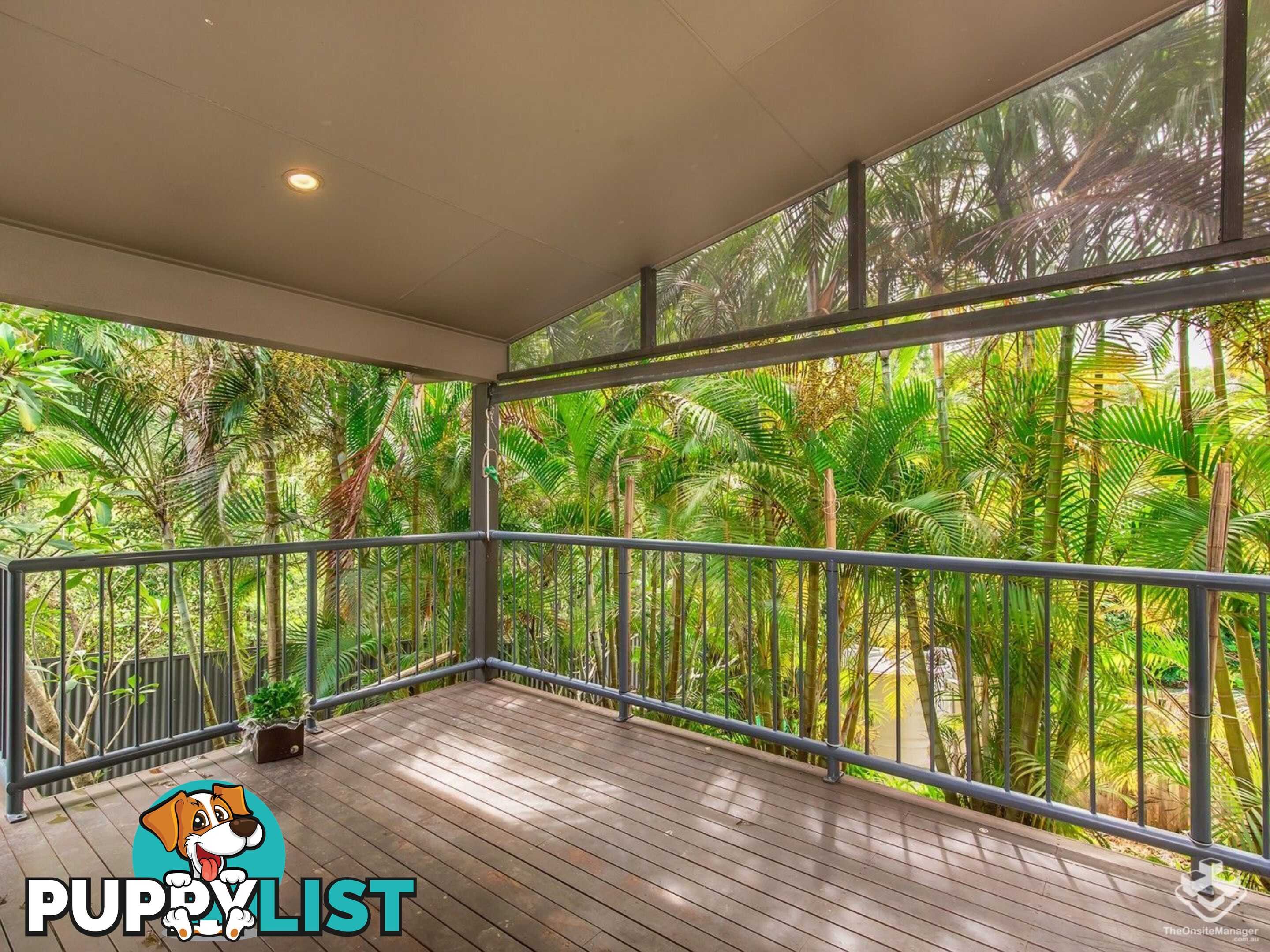 3 Calypso Court Oxenford QLD 4210