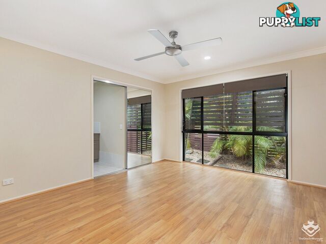 3 Calypso Court Oxenford QLD 4210