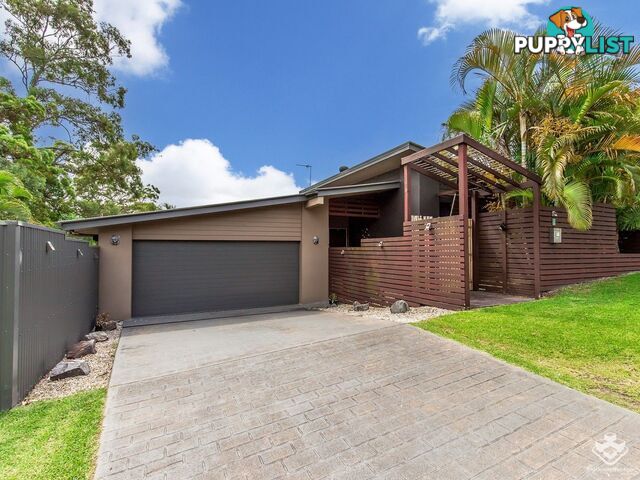 3 Calypso Court Oxenford QLD 4210