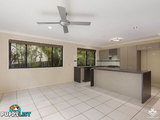 3 Calypso Court Oxenford QLD 4210