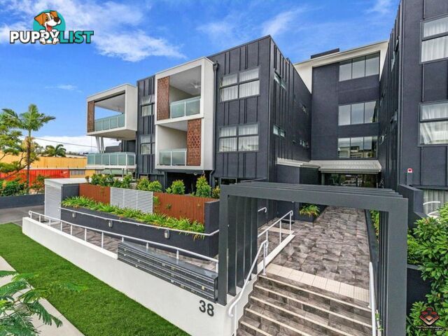 ID:3890301/38 Love Street Bulimba QLD 4171