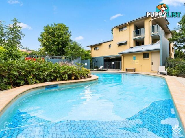 ID:21155419 38 Palmer Street Greenslopes QLD 4120