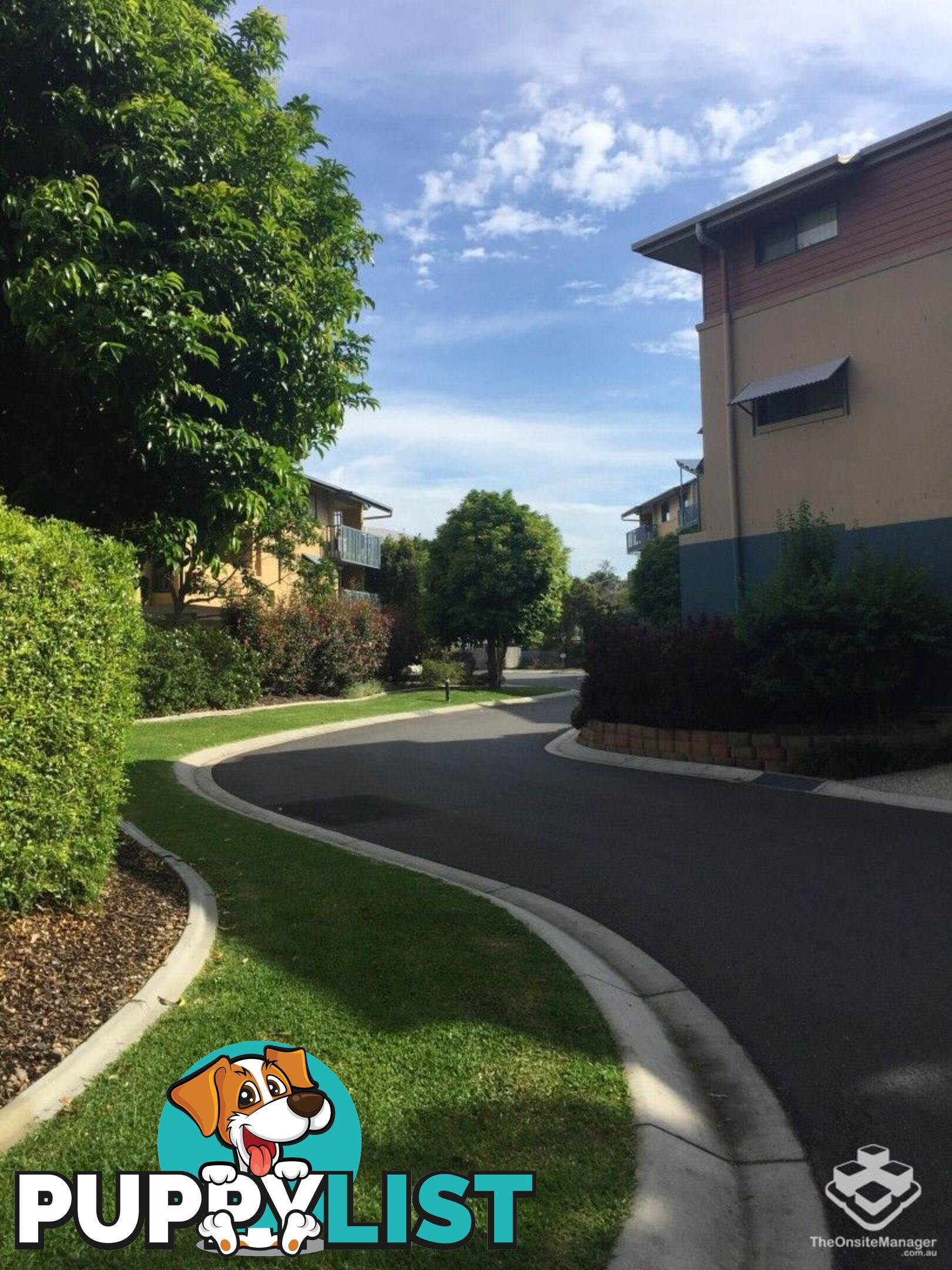 ID:21155419 38 Palmer Street Greenslopes QLD 4120