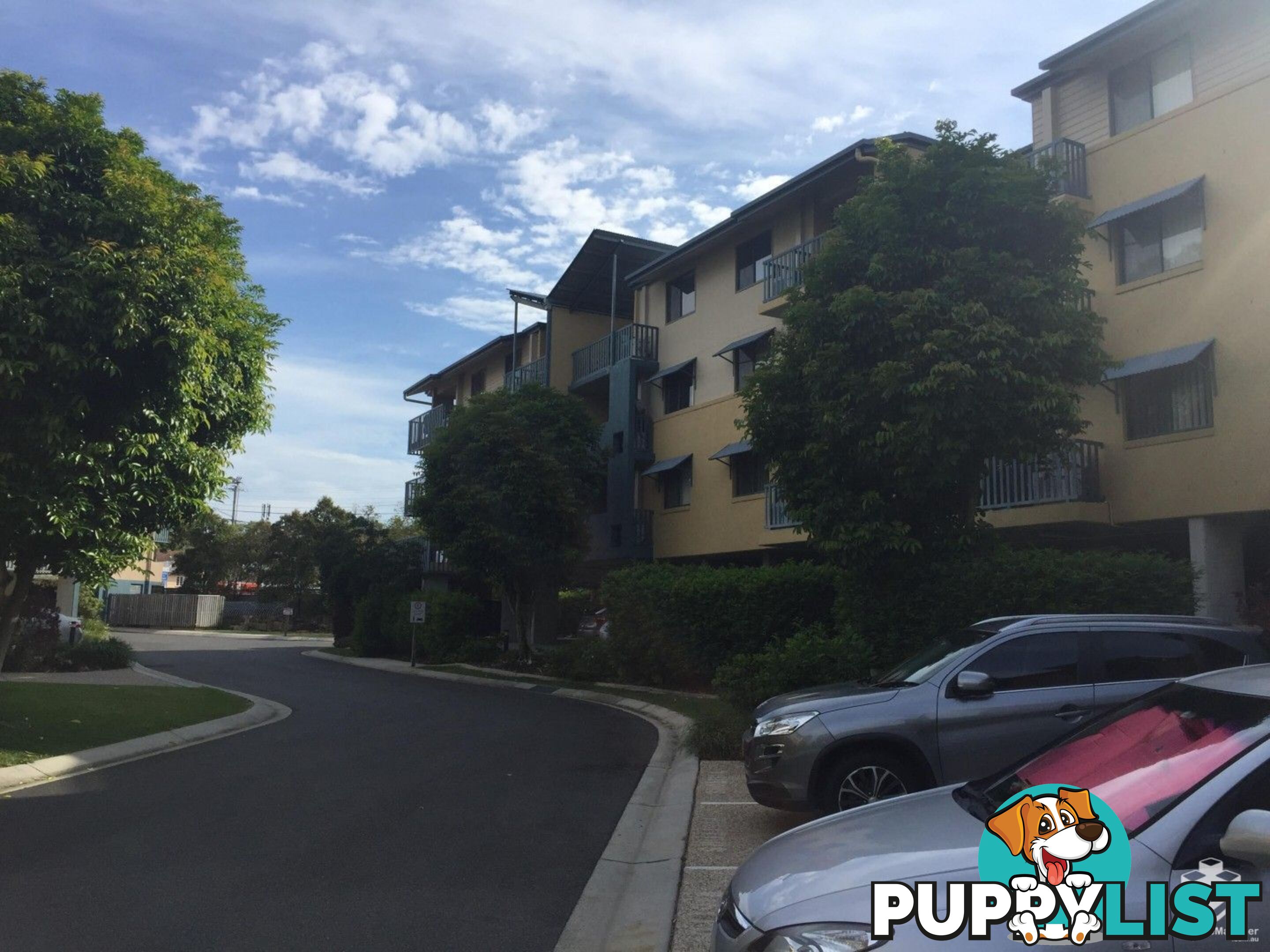 ID:21155419 38 Palmer Street Greenslopes QLD 4120