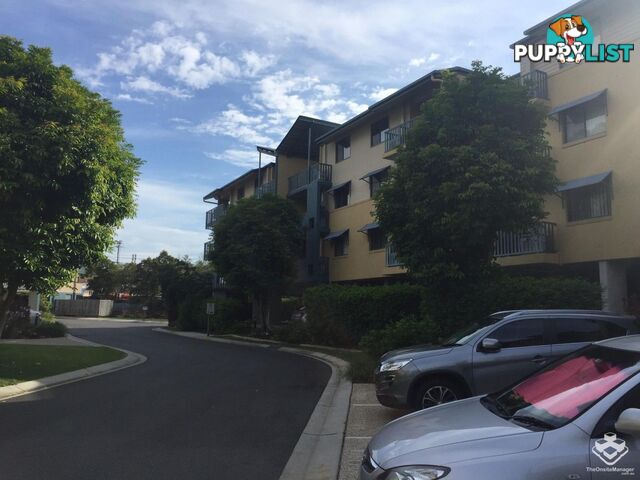 ID:21155419 38 Palmer Street Greenslopes QLD 4120