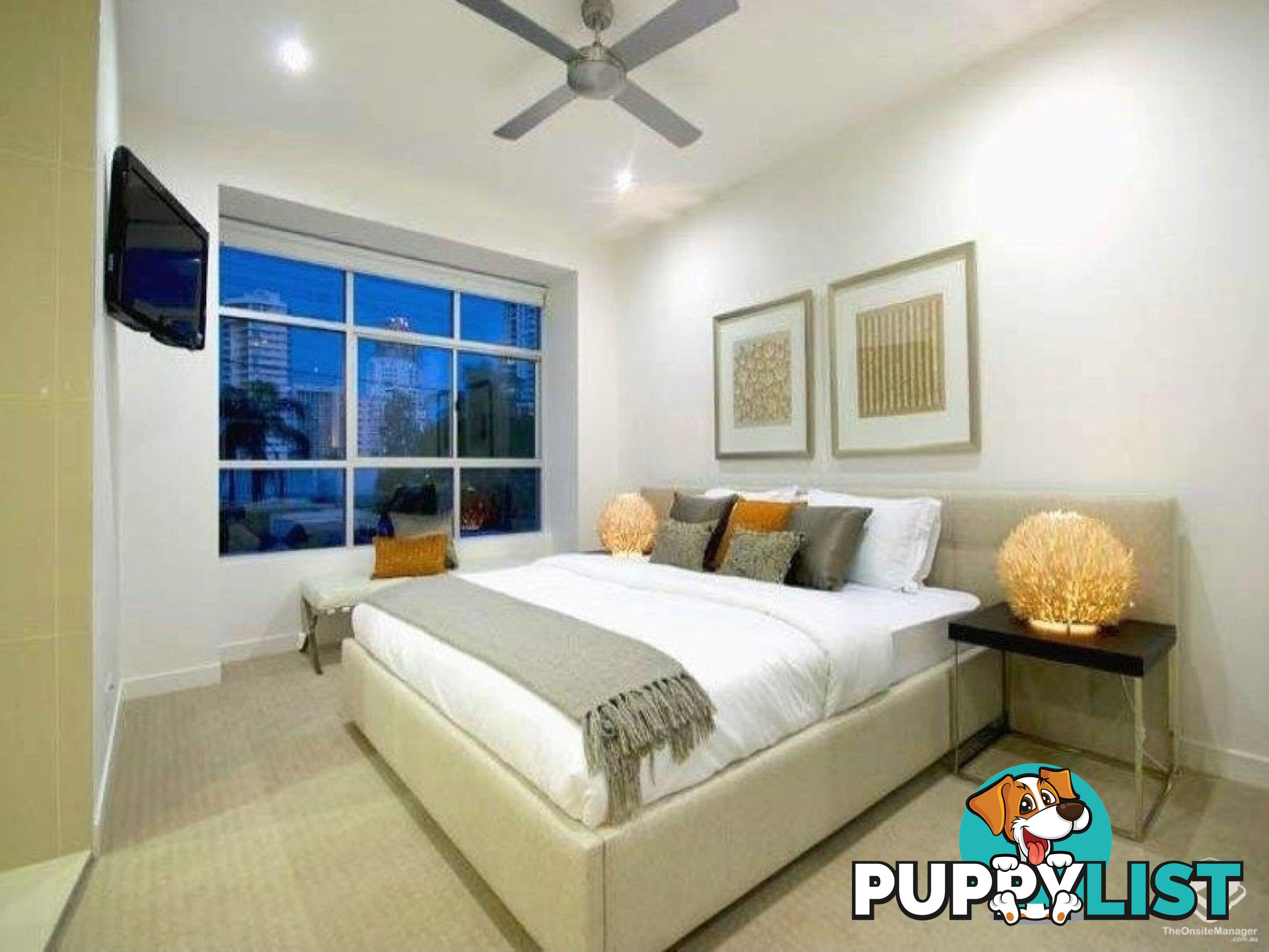 ID:21154433 56 Stanhill Drive Chevron Island QLD 4217