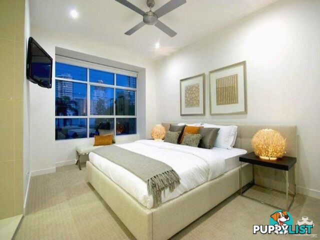 ID:21154433 56 Stanhill Drive Chevron Island QLD 4217