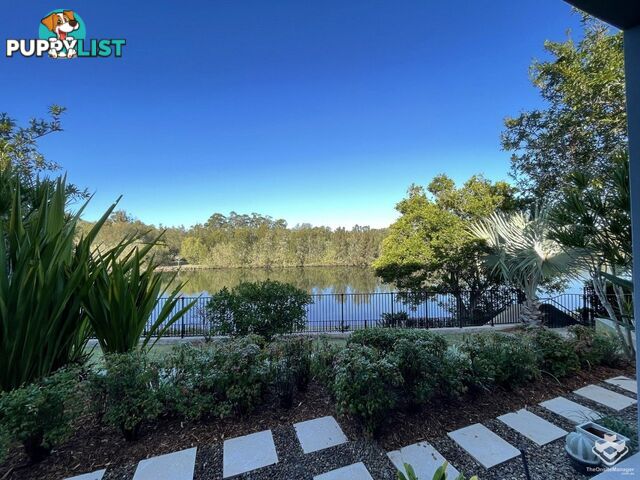 5034 EMERALD ISLAND DRIVE Carrara QLD 4211
