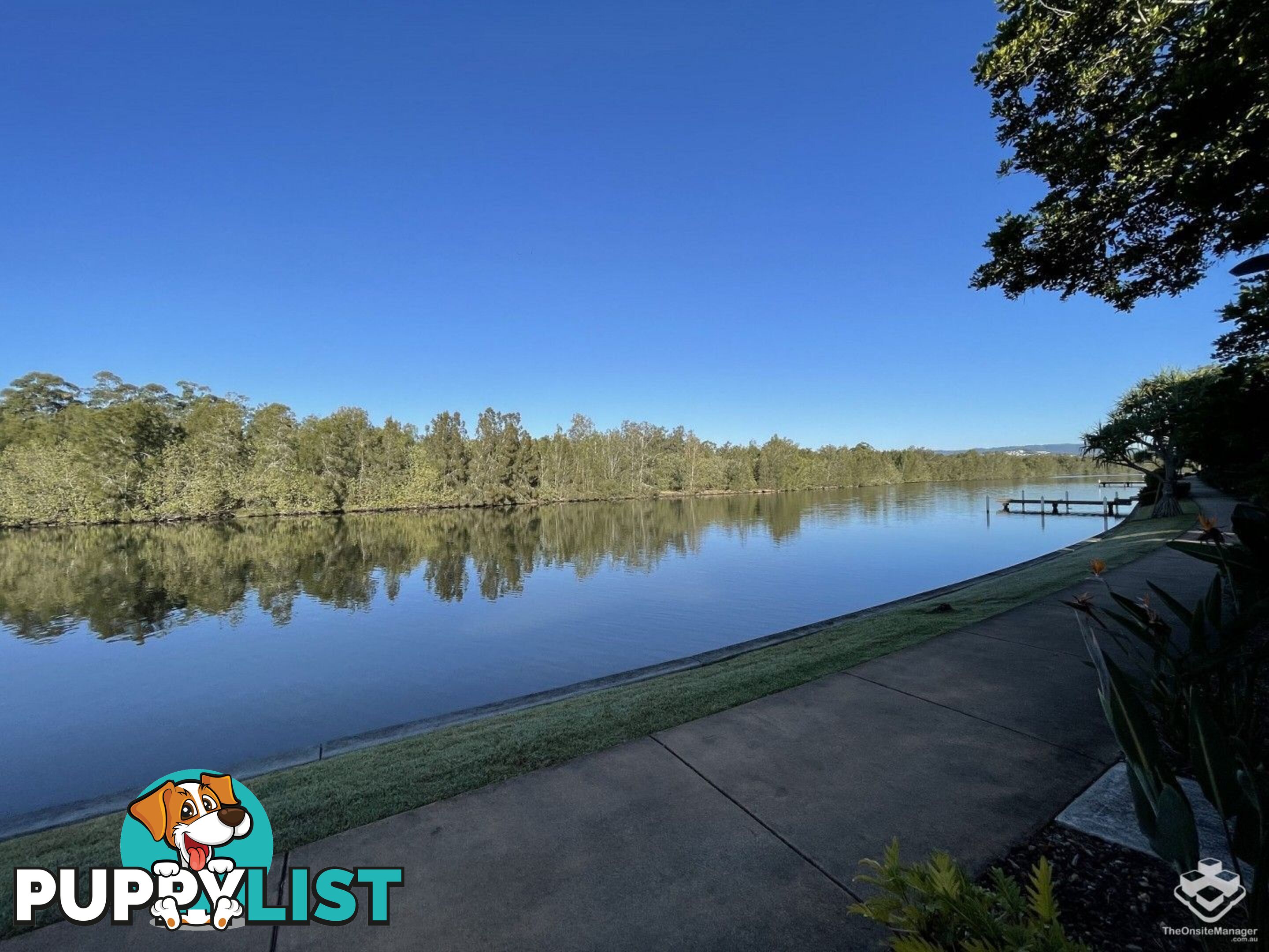 5034 EMERALD ISLAND DRIVE Carrara QLD 4211