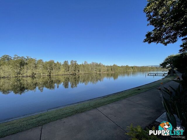 5034 EMERALD ISLAND DRIVE Carrara QLD 4211