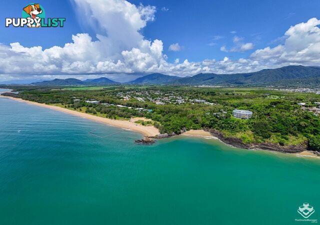 ID:21157544 521 Varley Street Yorkeys Knob QLD 4878