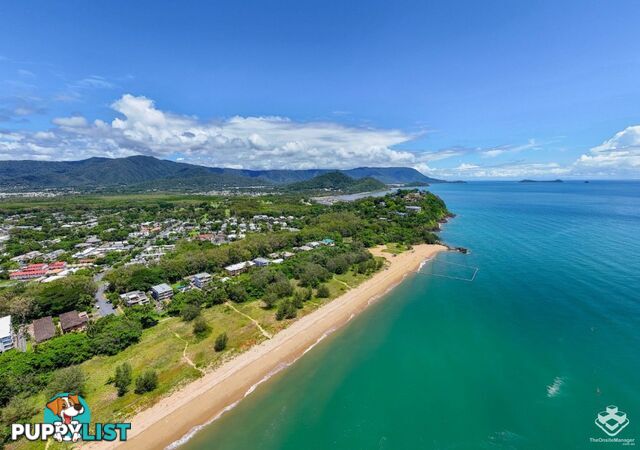 ID:21157544 521 Varley Street Yorkeys Knob QLD 4878