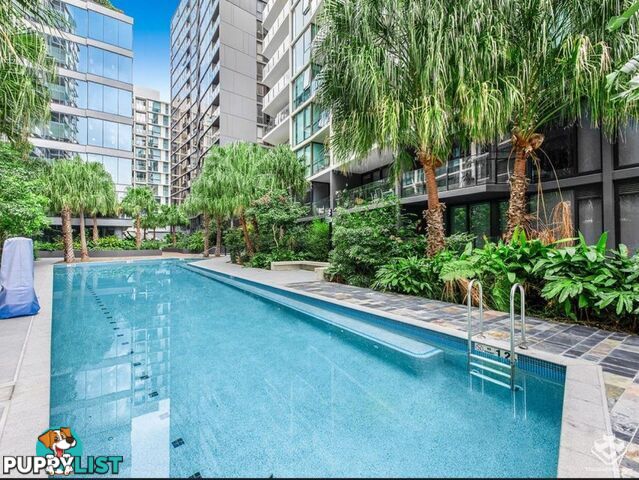 41906/1033 Ann Street Newstead QLD 4006