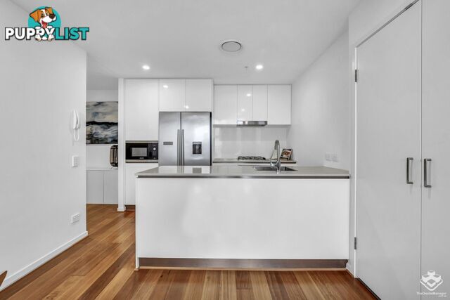 41906/1033 Ann Street Newstead QLD 4006