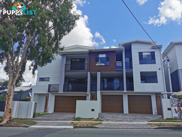 2/2 Elizabeth Street Toowong QLD 4066