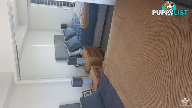ID:21157919 6 Southerden Avenue Grange QLD 4051