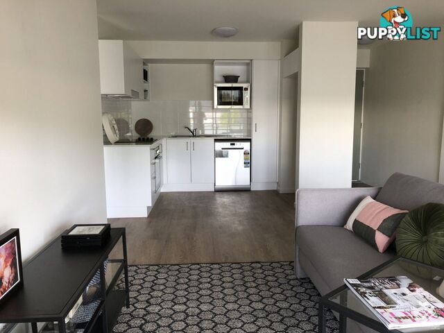 ID:21157919 6 Southerden Avenue Grange QLD 4051
