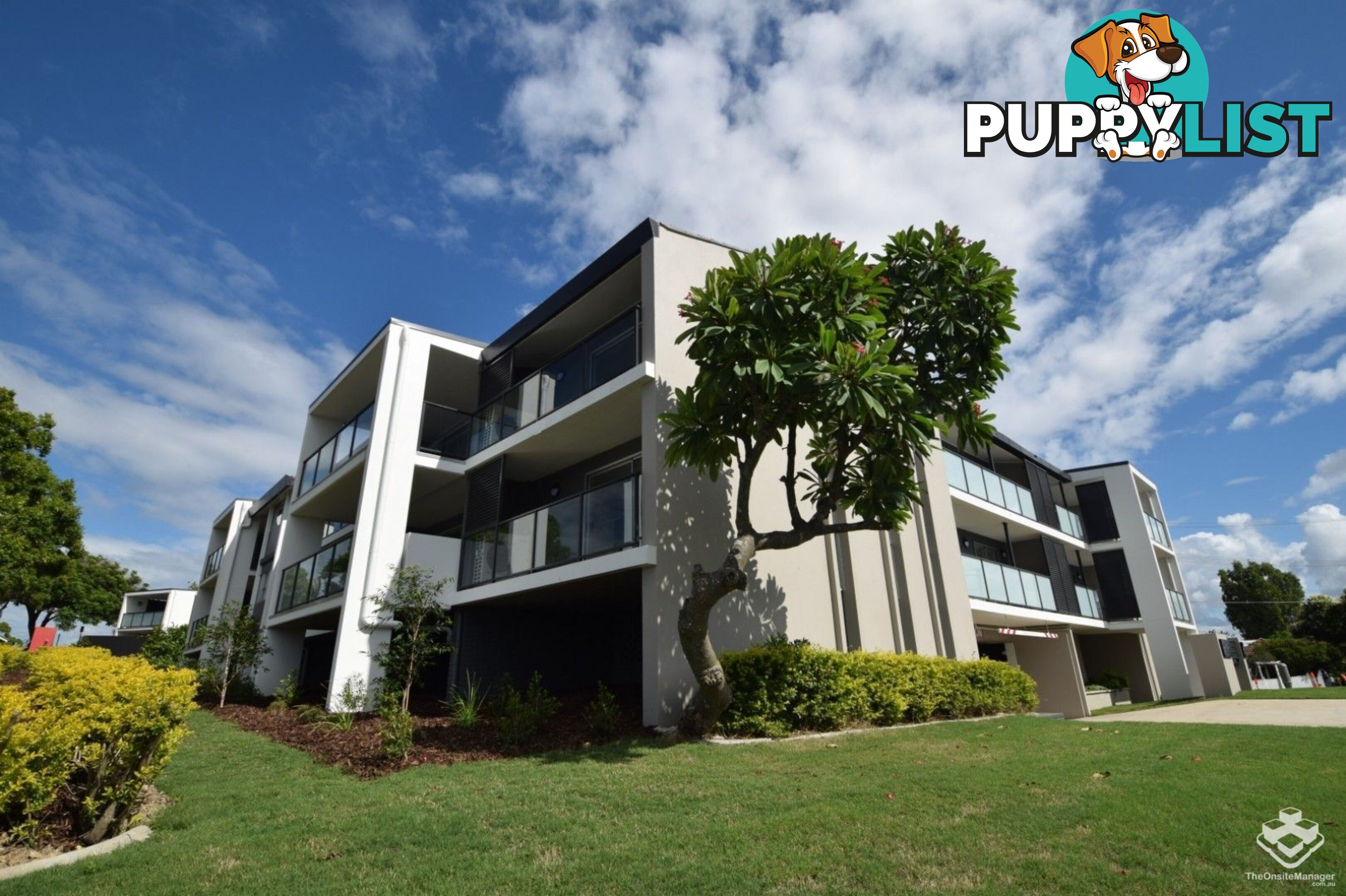 ID:21157919 6 Southerden Avenue Grange QLD 4051