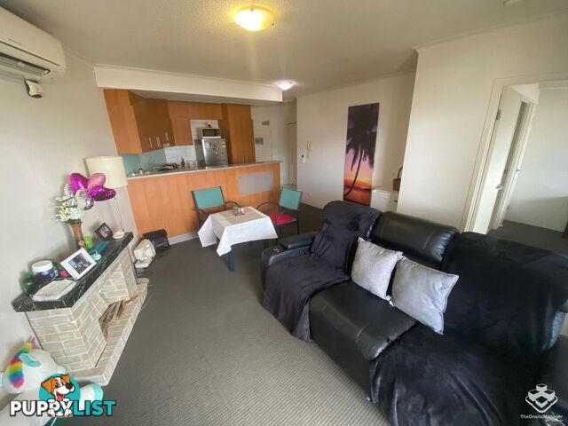ID:21080799 292 Boundary Street Spring Hill QLD 4000