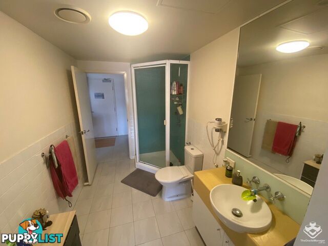 ID:21080799 292 Boundary Street Spring Hill QLD 4000