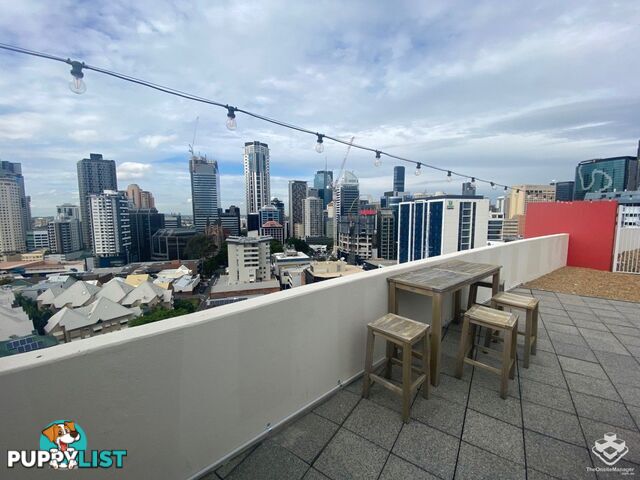 ID:21080799 292 Boundary Street Spring Hill QLD 4000