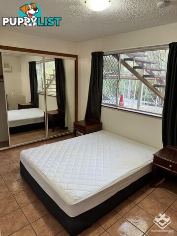 ID:21157164 7 Bedser Street Macgregor QLD 4109