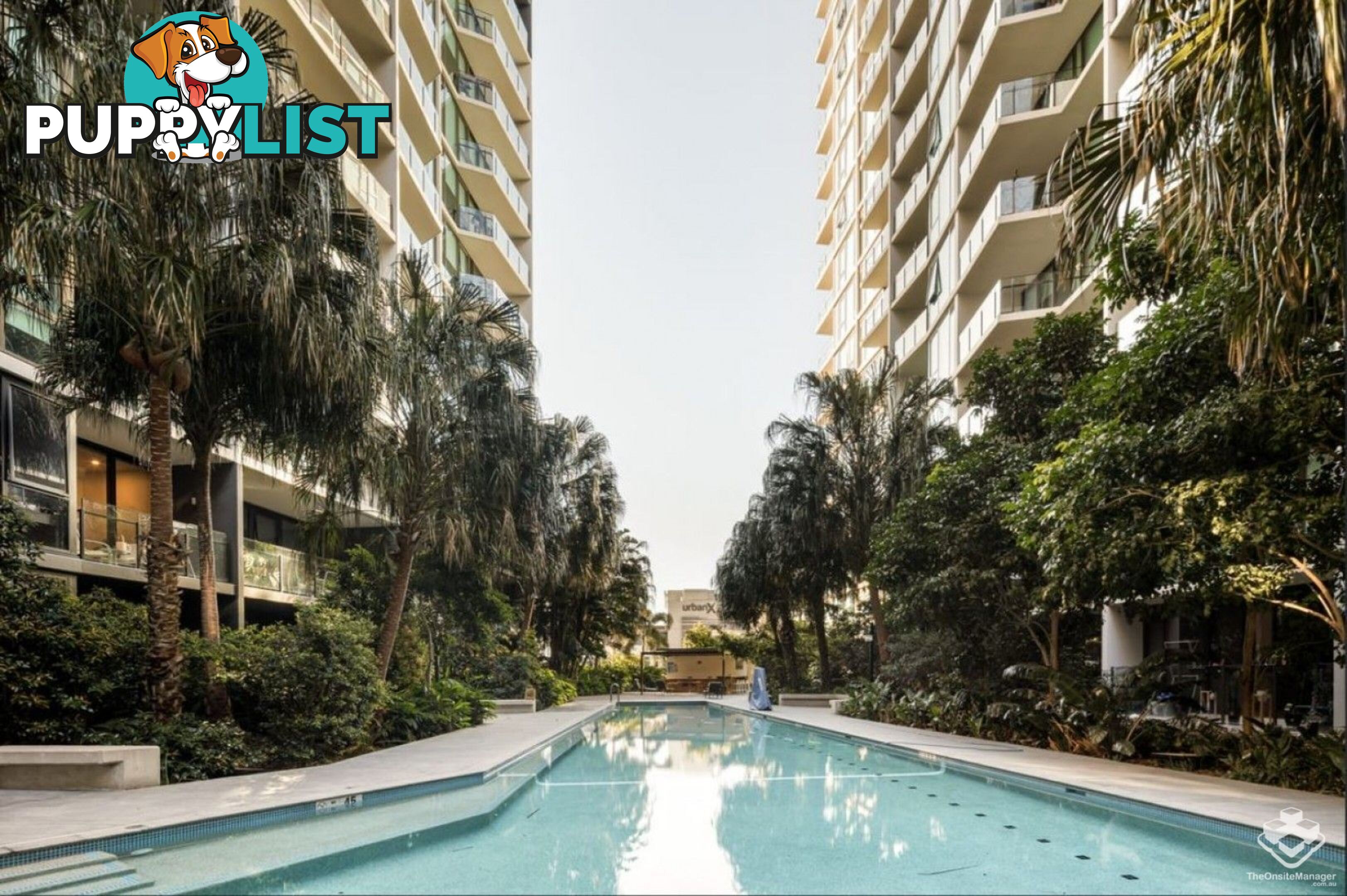 21904/1055 Ann Street Newstead QLD 4006