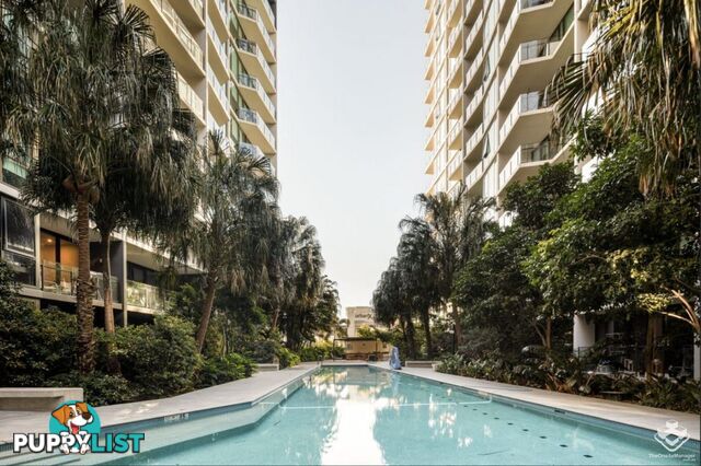 21904/1055 Ann Street Newstead QLD 4006
