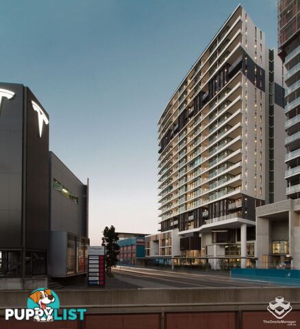 21904/1055 Ann Street Newstead QLD 4006