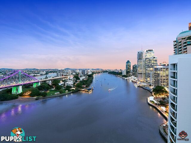 32 Macrossan Street Brisbane City QLD 4000