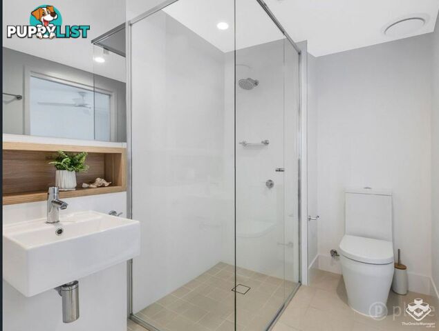 L8/42 Wyandra Street Newstead QLD 4006