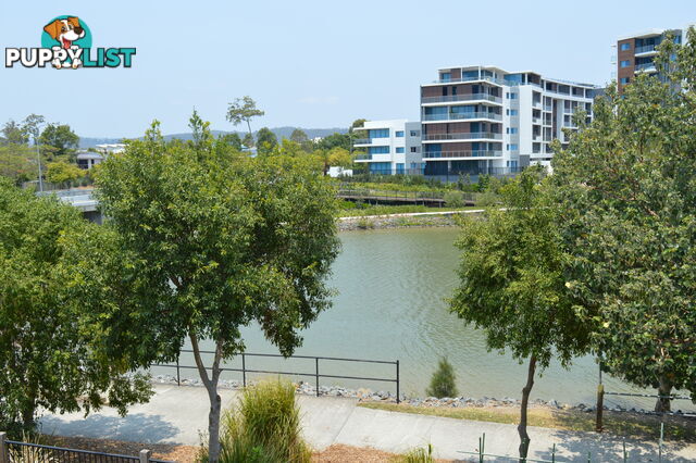 5 Jurien Crescent Varsity Lakes QLD 4227