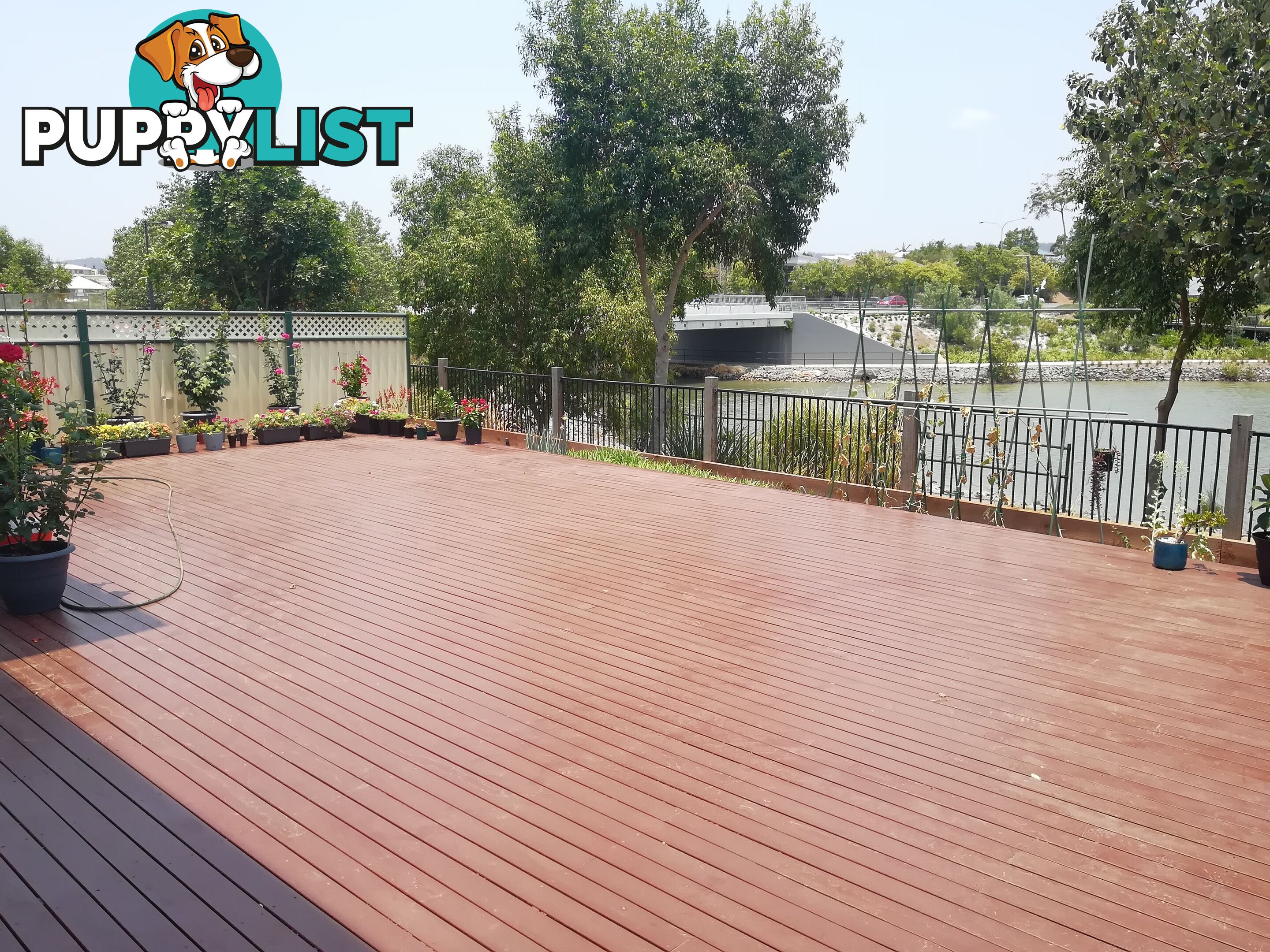 5 Jurien Crescent Varsity Lakes QLD 4227