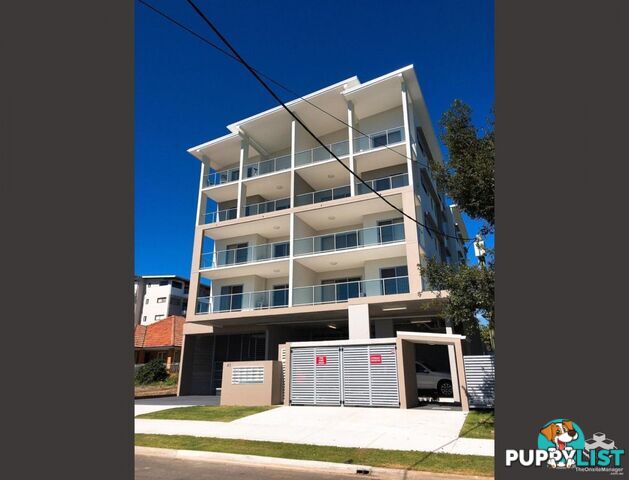 3/41 Lumley Street Upper Mount Gravatt QLD 4122