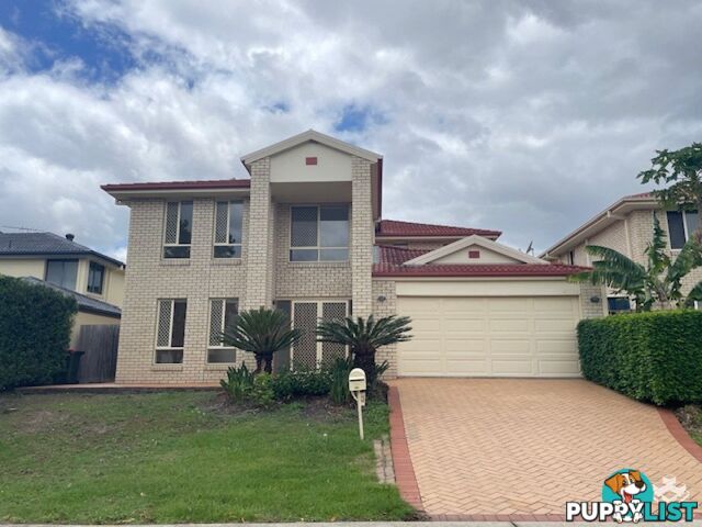 3 Alison Place Sunnybank Hills QLD 4109