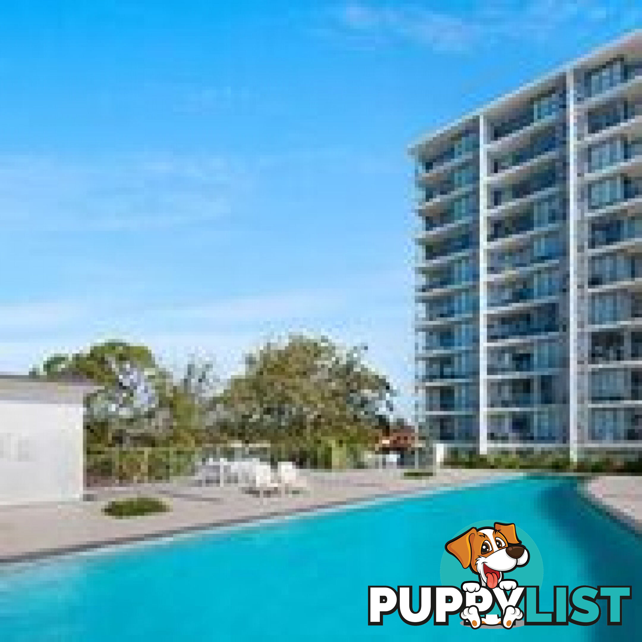 1008/378 Marine Parade Labrador QLD 4215