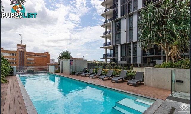 ID:21157889 22 Railway Terrace Milton QLD 4064