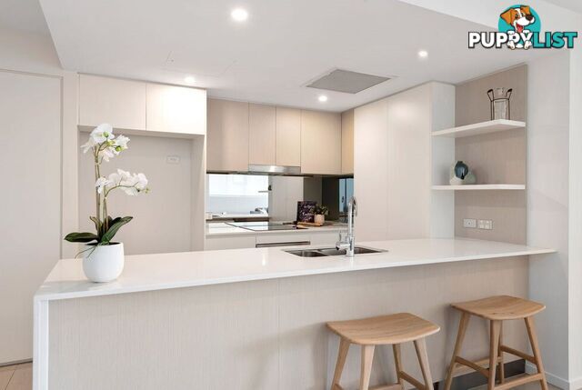 ID:21158523 25 Duncan Street West End QLD 4101