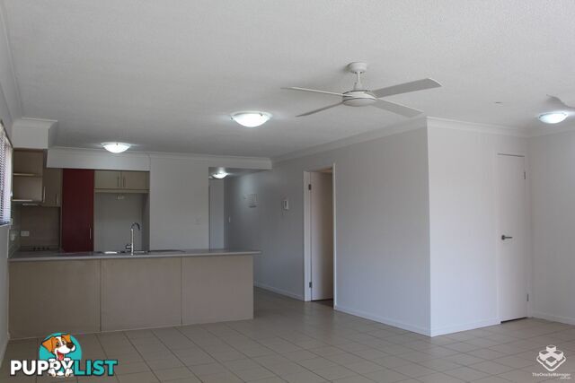 ID:21141223 7 Lloyd Street Tweed Heads South NSW 2486