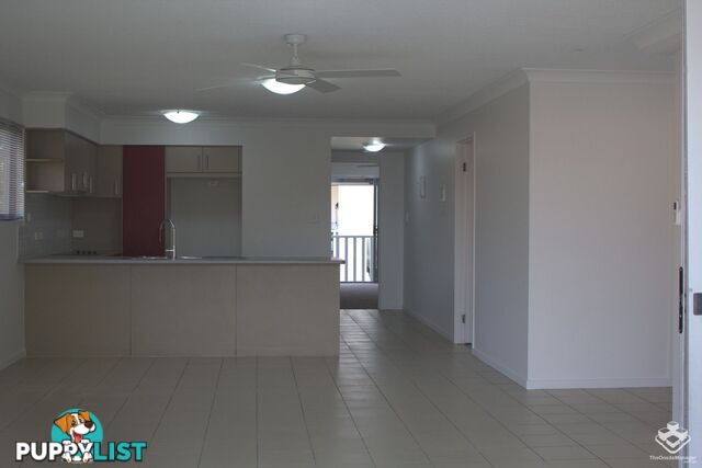 ID:21141223 7 Lloyd Street Tweed Heads South NSW 2486