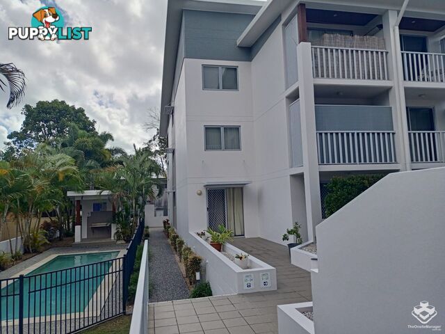 ID:21141223 7 Lloyd Street Tweed Heads South NSW 2486