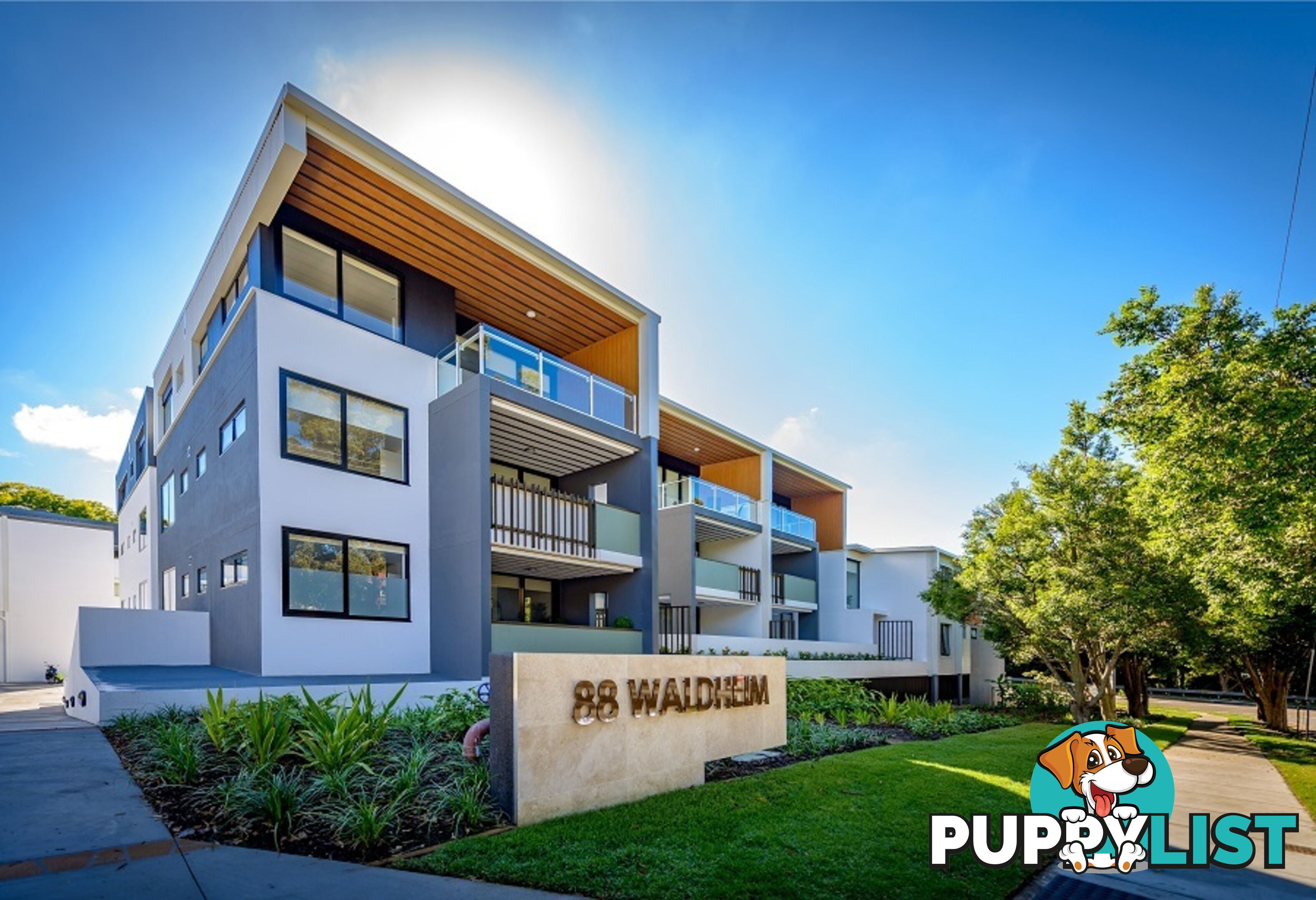 ID:21099445 88 Waldheim Street Annerley QLD 4103