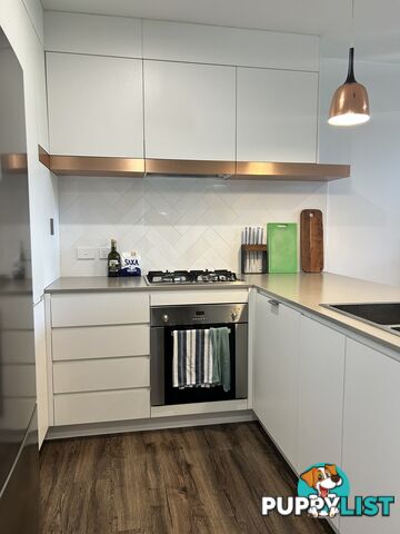 ID:21099445 88 Waldheim Street Annerley QLD 4103